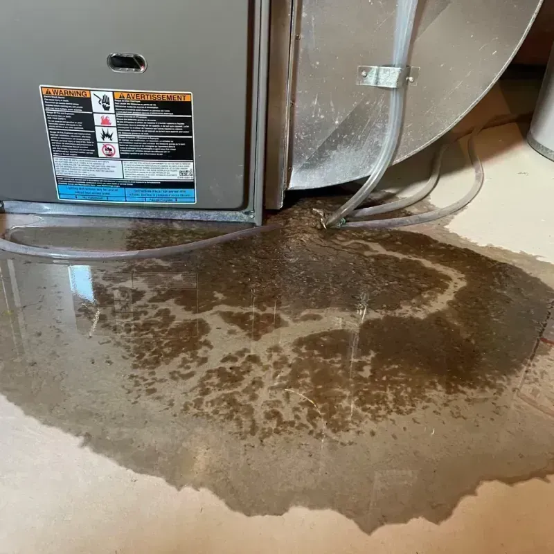 Appliance Leak Cleanup in Marshall, IL